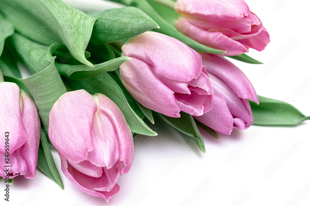 Bouquet of spring flowers, pink tulips on white background close up - holiday card for 8 march, Valentine day or mother's day Bouquet of spring flowers, pink tulips on white background close up - holiday card for 8 march, Valentine day or mother's day