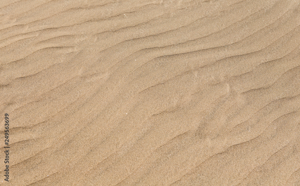 Sand texture. Sandy beach for background. Top view Sand texture. Sandy beach for background. Top view