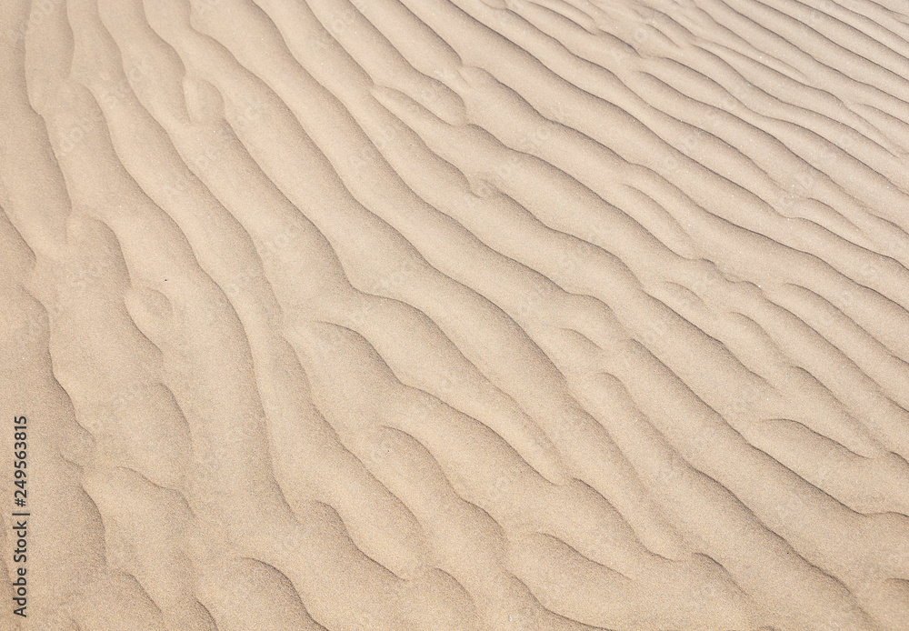 Sand texture. Sandy beach for background. Top view Sand texture. Sandy beach for background. Top view