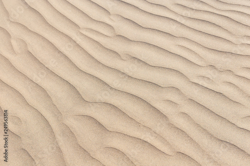  Sand texture. Sandy beach for background. Top view