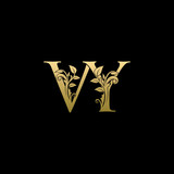 Golden Flower VY Letter Logo