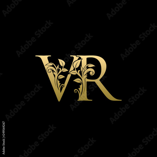 Golden Flower VR Letter Logo