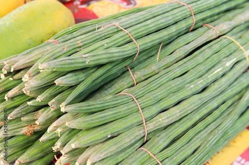 Moringa oleifera or drumstick vegetable photo