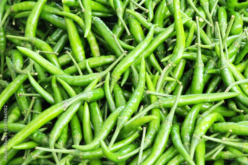Fresh chilli for cooking at street food Fresh chilli for cooking at street food