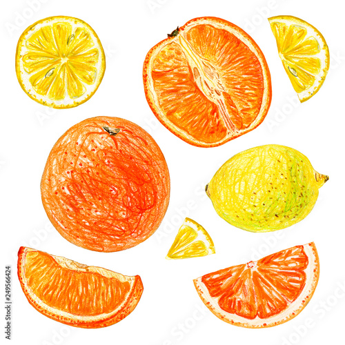 set of citrus isolated on white background. Whole fruits and slices