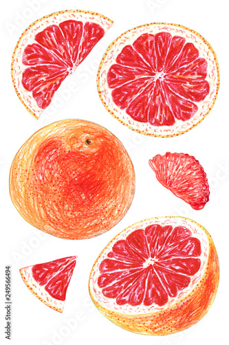 set of grapefruit isolated on white background. Whole fruits and slices