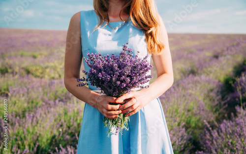 Bouquet of lavender in the hands of a girl in a blue dress