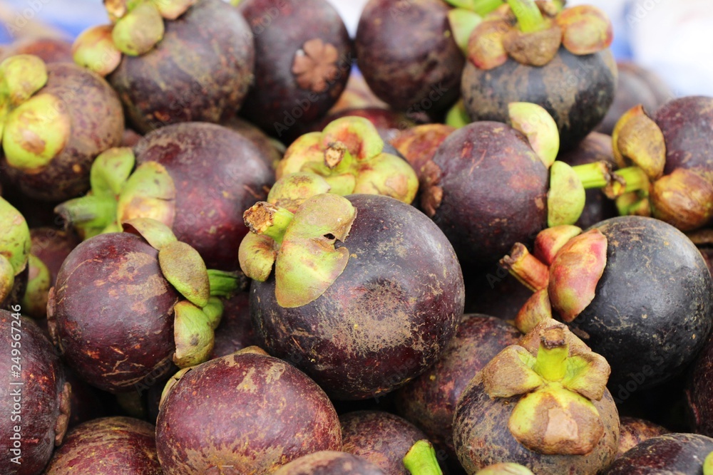 Fototapeta premium Mangosteen fruit is delicious at street food