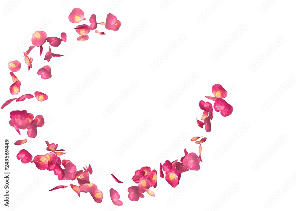 Red rose petals fly in a circle. The center free space for Your photos or text Red rose petals fly in a circle. The center free space for Your photos or text