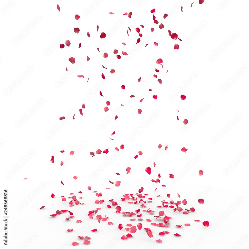 Small rose petals fly and fall to the floor Small rose petals fly and fall to the floor