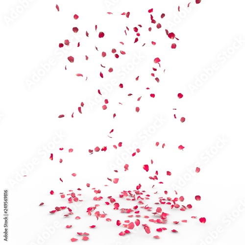 Fototapeta Naklejka Na Ścianę i Meble -  Small rose petals fly and fall to the floor