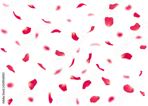 Fototapeta Naklejka Na Ścianę i Meble -  Valentine's day background or cards made of rose petals. In the background are blurred rose petals