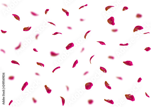 Fototapeta Naklejka Na Ścianę i Meble -  Valentine's day background or cards made of rose petals. In the background are blurred rose petals