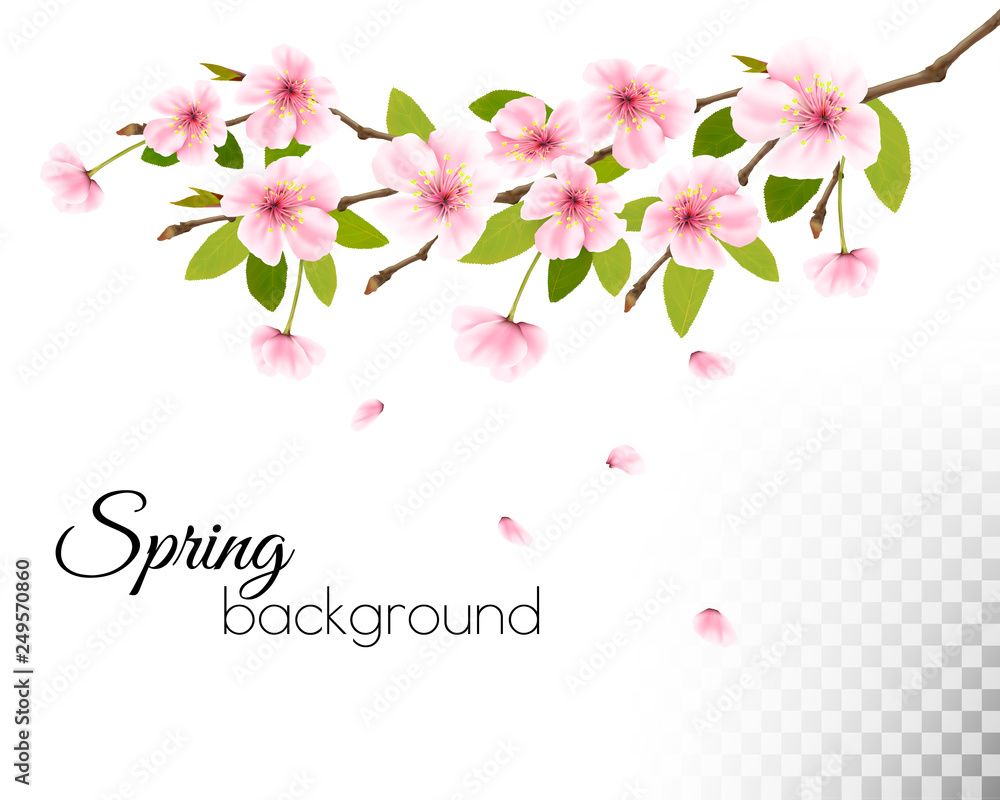 Sakura japan cherry branch with a pink flowers on wooden background. Vector