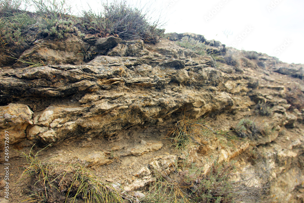 side view of section of brown naked layered limestone native sedimentary rock-limestone-in the thickness of the soil side view of section of brown naked layered limestone native sedimentary rock-limestone-in the thickness of the soil