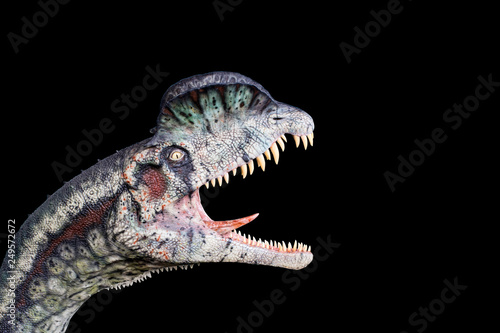 Dilophosaurus isolated on black background