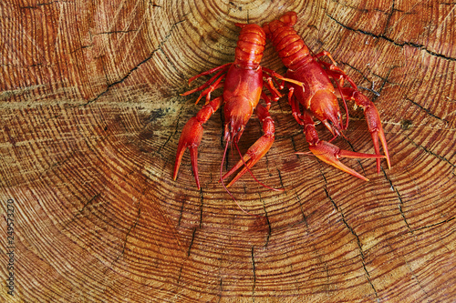 Crawfish cooked and served on wooden background photo