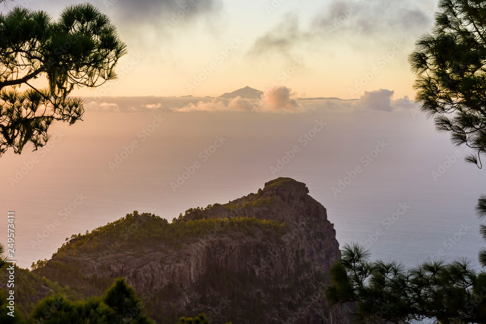 trees silhouette against teide volcano seen from tamadaba natural park