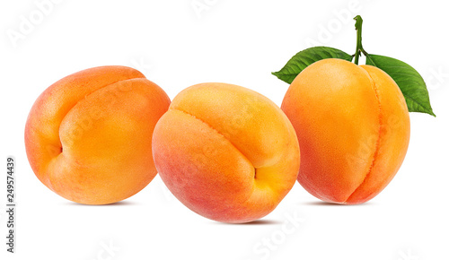 Fresh apricots with leaves isolated on white background with clipping path