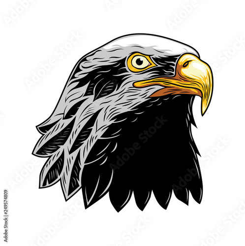 Bald Eagle, Head of Eagle Vector Illustration, Isolated Vector