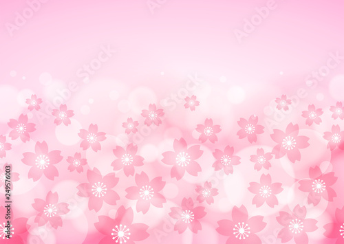 Cherry Blossom  Pink Background  Spring Image