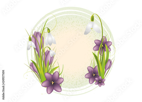 Schneeglöckchen und Krokus