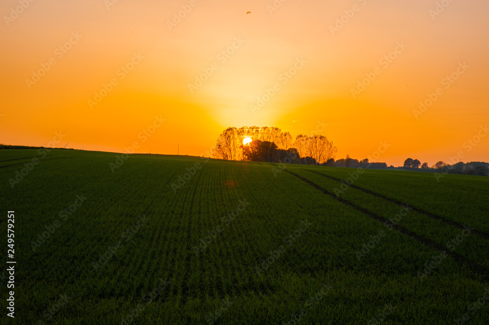 Obraz premium Sunset over the fields