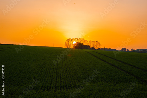 Sunset over the fields