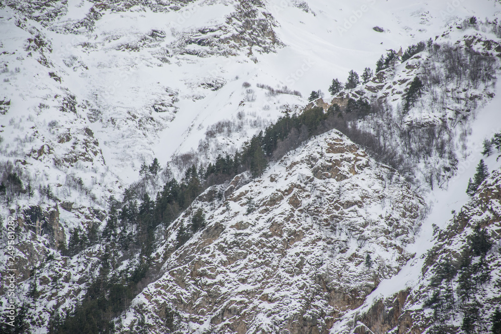 snow covered mountains