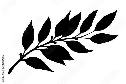 Laurel branch silhouette  vector 