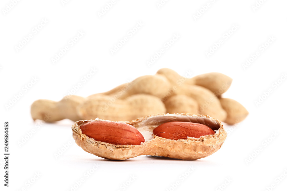 Dried peanuts on the white background. Top view. close-up. Dried peanuts on the white background. Top view. close-up.