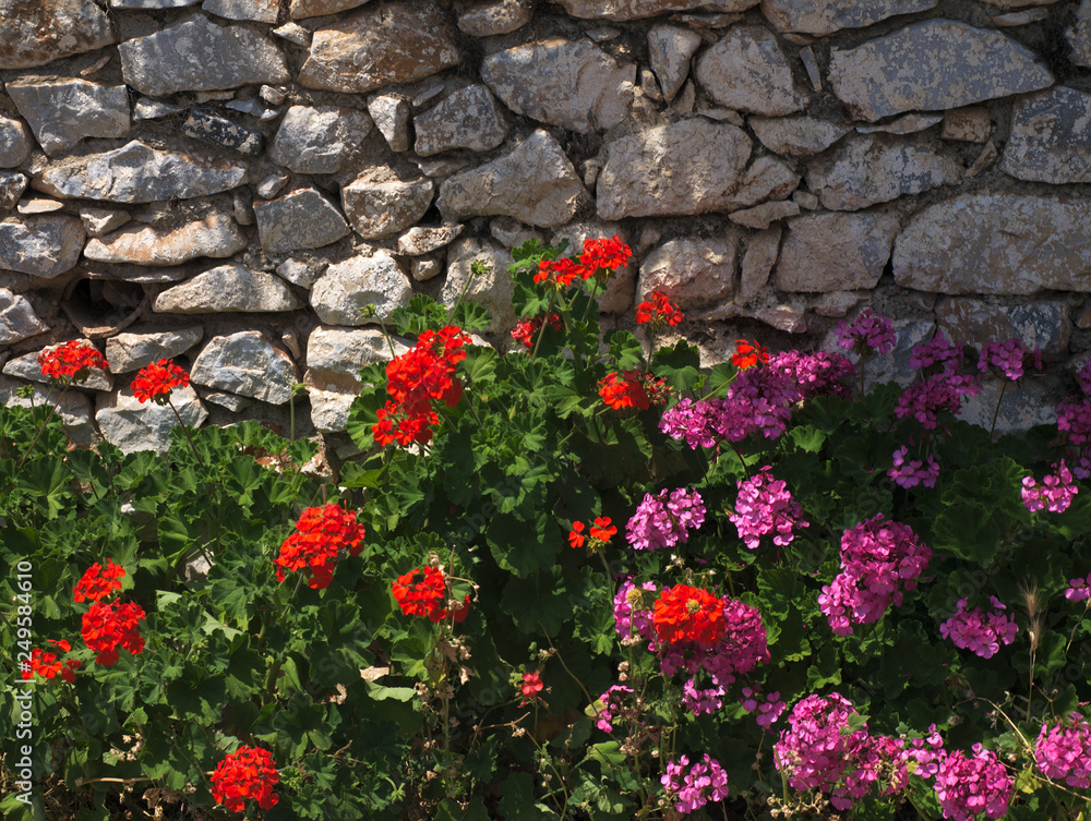 Red and pink flowers under a stone wall in a Greek village