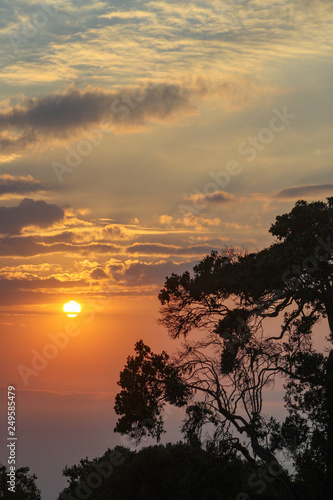 Sunrise over the ngorongoro crater with a tree and clouds, ngorongoro conservation area, Serengeti, Tanzania, Africa