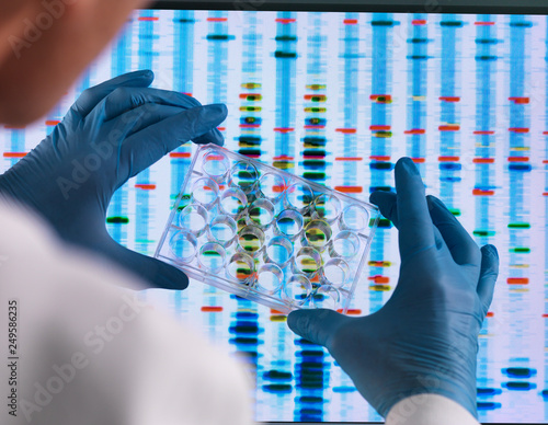 Scientist holding a multi well plate used for genetic testing with the results on a computer screen in a laboratory photo