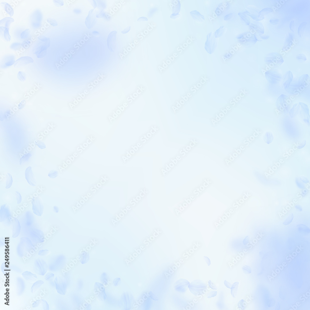 Light blue flower petals falling down. Magnificent Light blue flower petals falling down. Magnificent