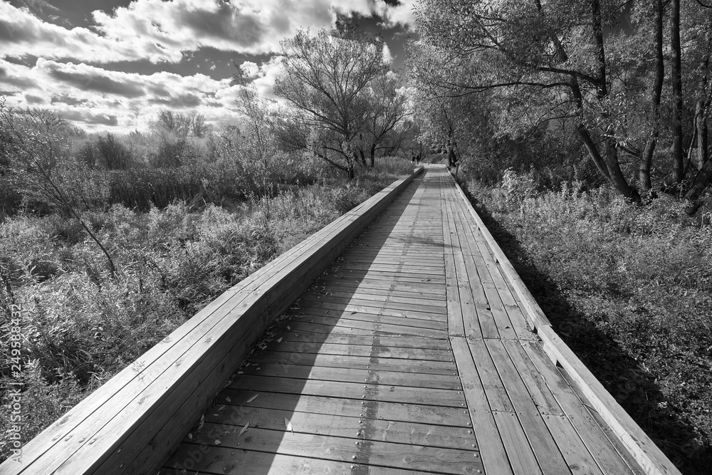Wooden walkway in black and white