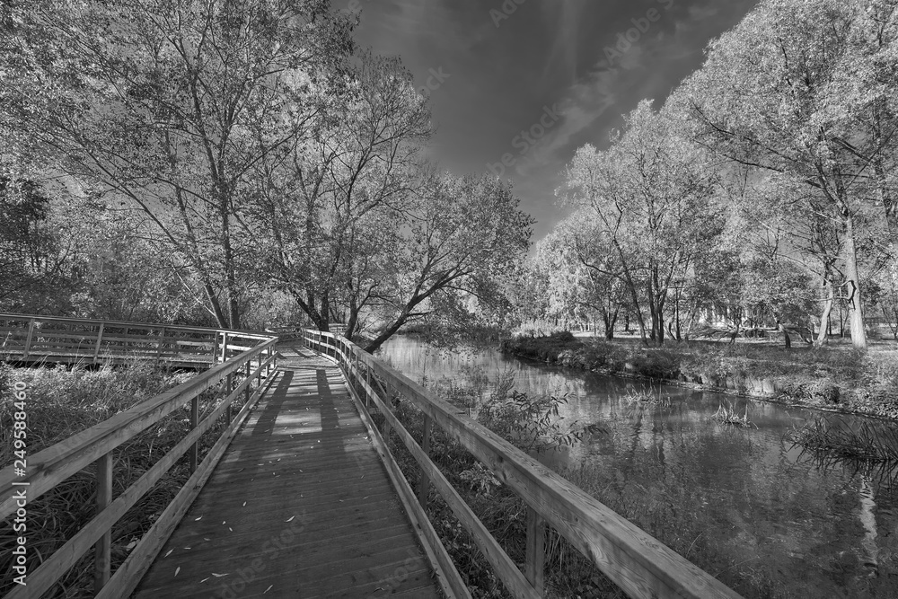 Wooden walkway in black and white