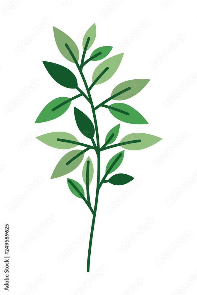branch with leaf isolated icon branch with leaf isolated icon