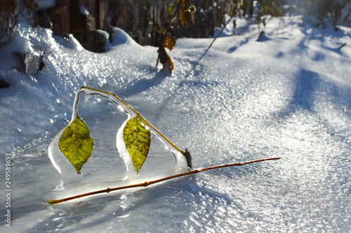 ice and sun
