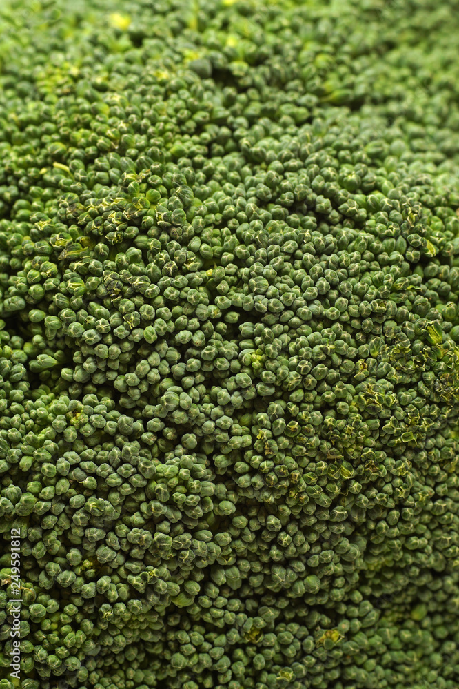 Close-up of surface the popular vegetables - broccoli.