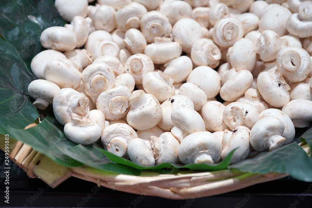 Fresh white button mushroom at the farmers market Fresh white button mushroom at the farmers market