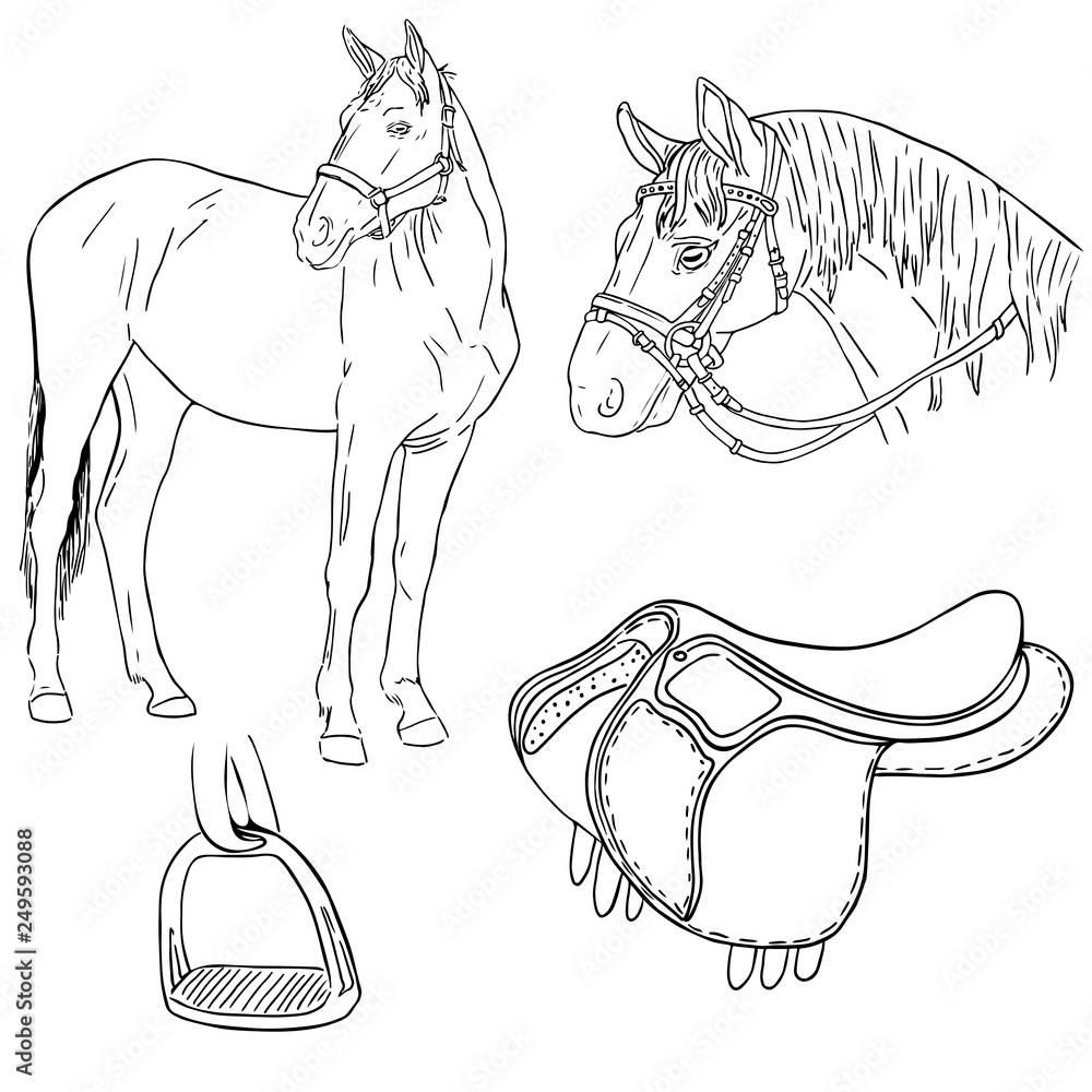 Vector hand - drawn illustration of a horse, horse's head, saddle and the  stirrup draw the outline Stock Vector | Adobe Stock