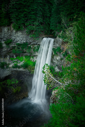 waterfall in the forest