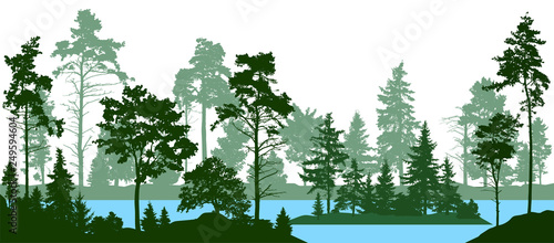 Evergreen coniferous forest with pines, fir trees,  christmas tree, cedar, Scotch fir. Forest silhouette trees. Lake river vector. (Every tree isolated, separate from each other, free-standing)