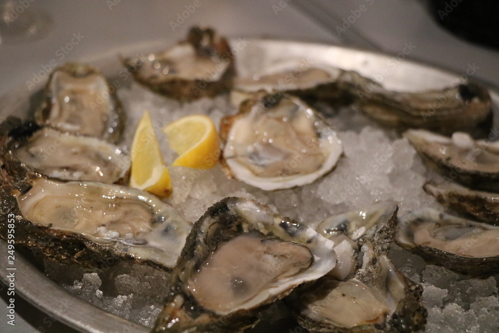 Oysters on the Half Shell Oysters on the Half Shell