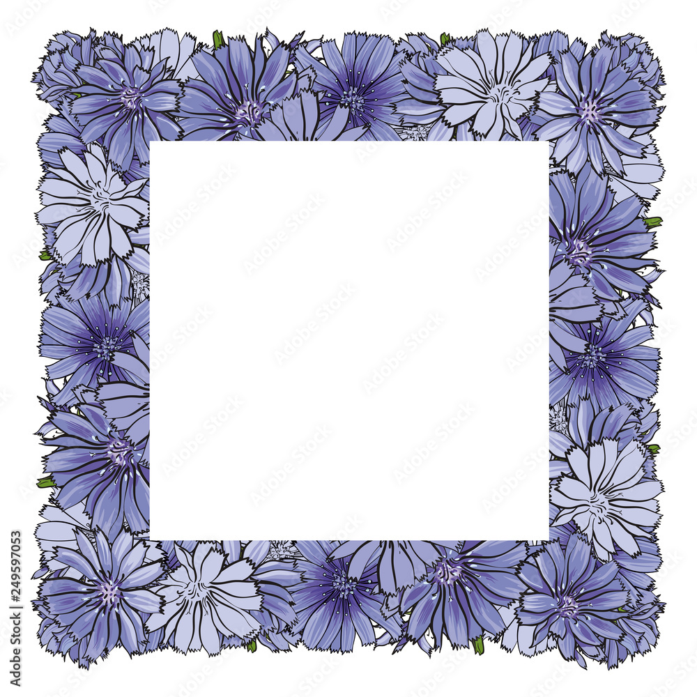 Vector illustration of blue cornflowers in square shape with copy space.