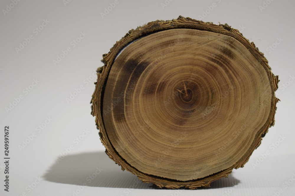 Wooden stump isolated on the white background. Wooden stump isolated on the white background.