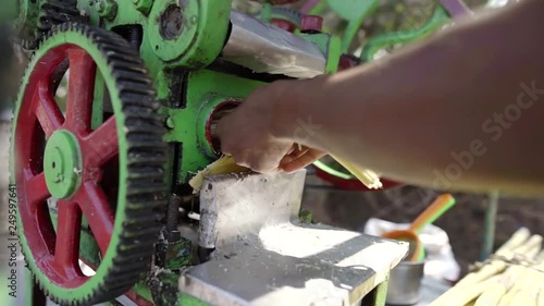 hindu male worker is putting cane inside press for squeezing juice photo