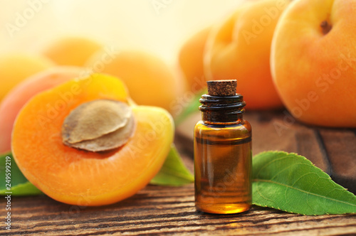 Bilde på lerret Apricot kernel oil on pits, stones and fresh apricots background, selective focu