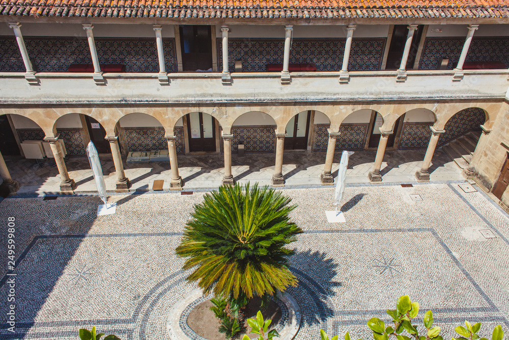 courtyard with palm tree and columns